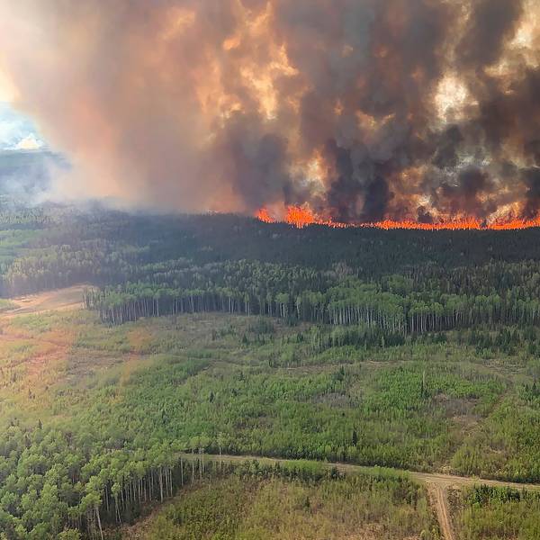 Der Bald Mountain Waldbrand lodert im Grande Prairie Forest.