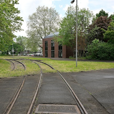 Auf dem Zanders-Gelände stehen Bäume an Gleisen.