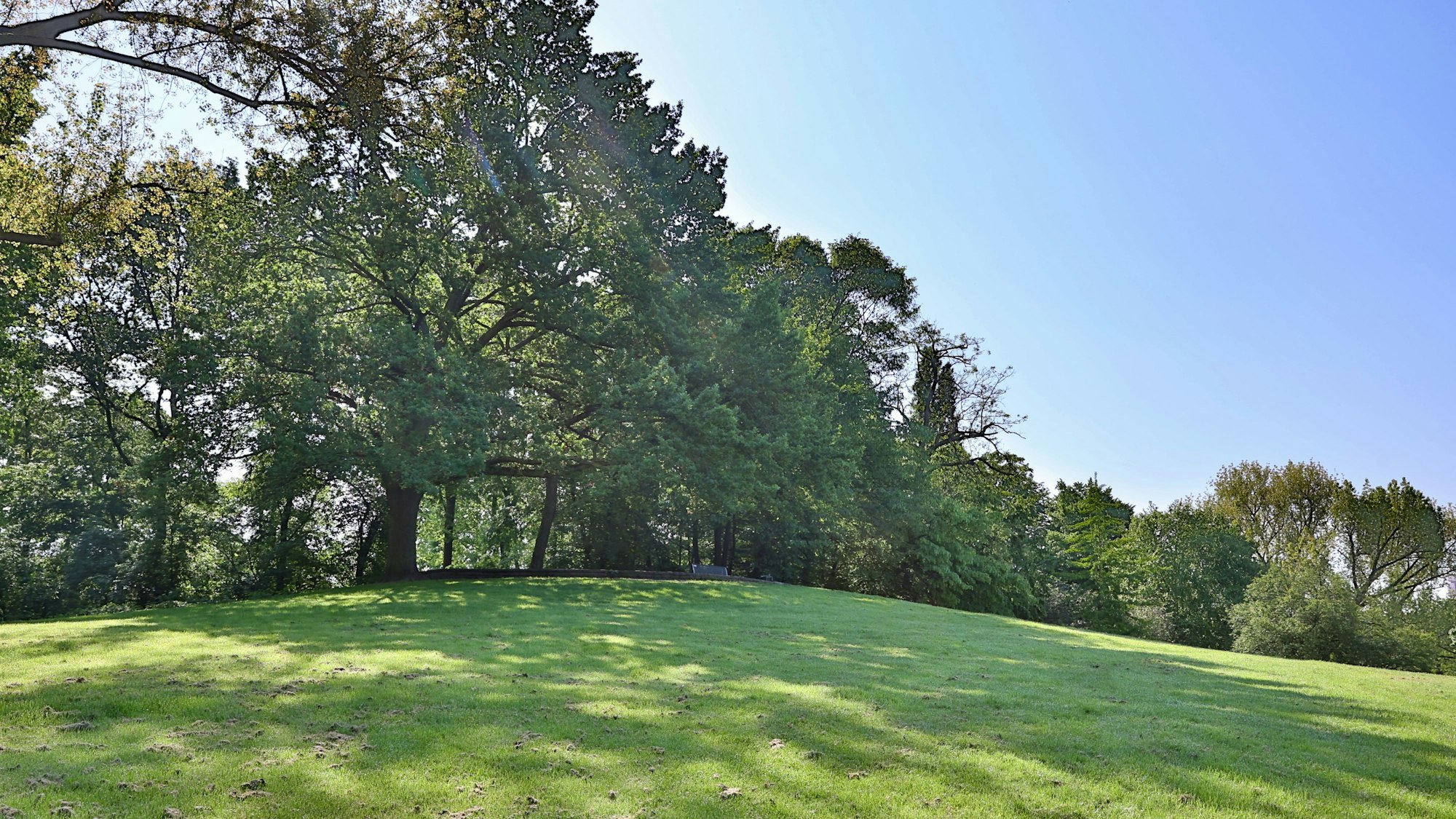 Ein grüner Hügel mit Bäumen, Sonne und blauem Himmel