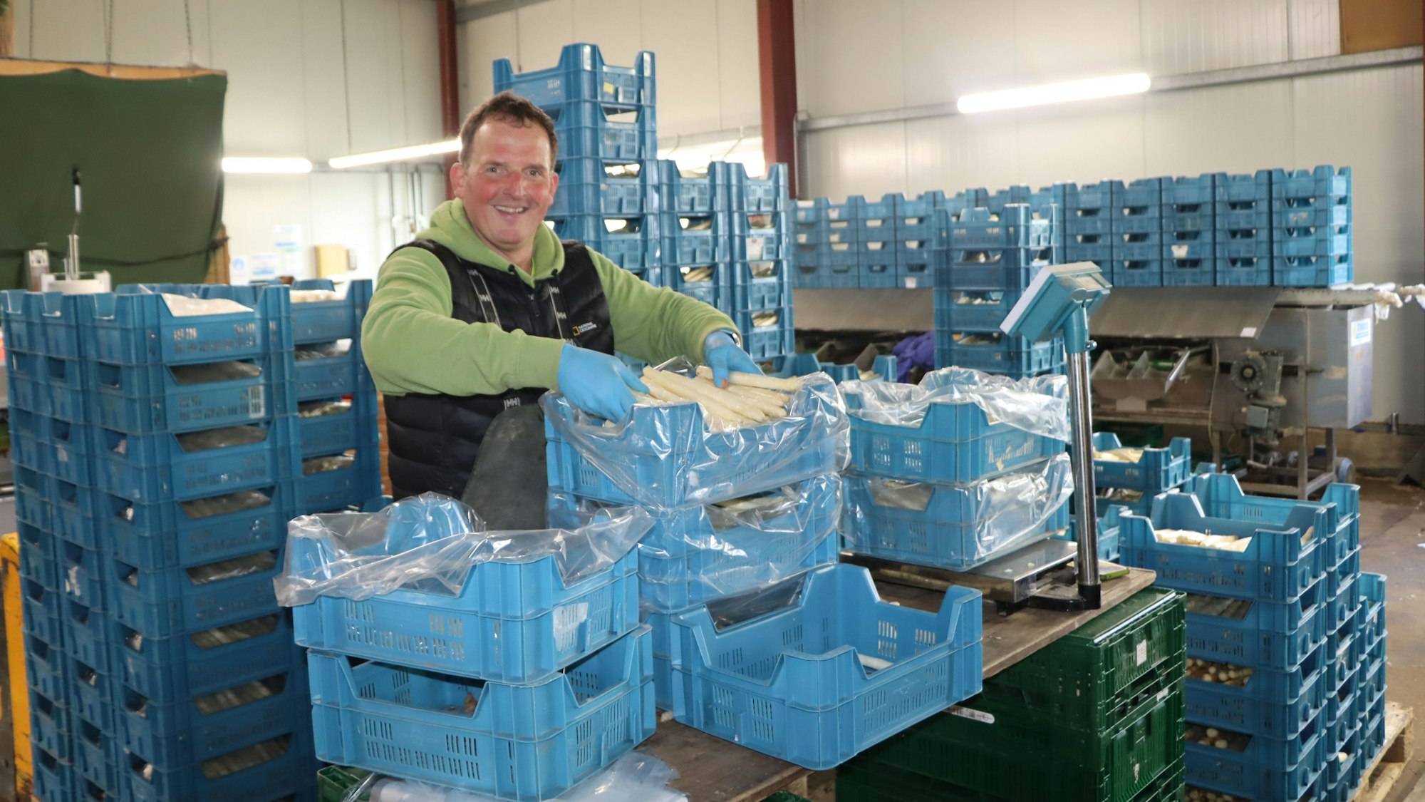 Auch Landwirt Klaus Langen packt immer noch selber tüchtig mit an. Er legt den Spargel in blaue Kisten.