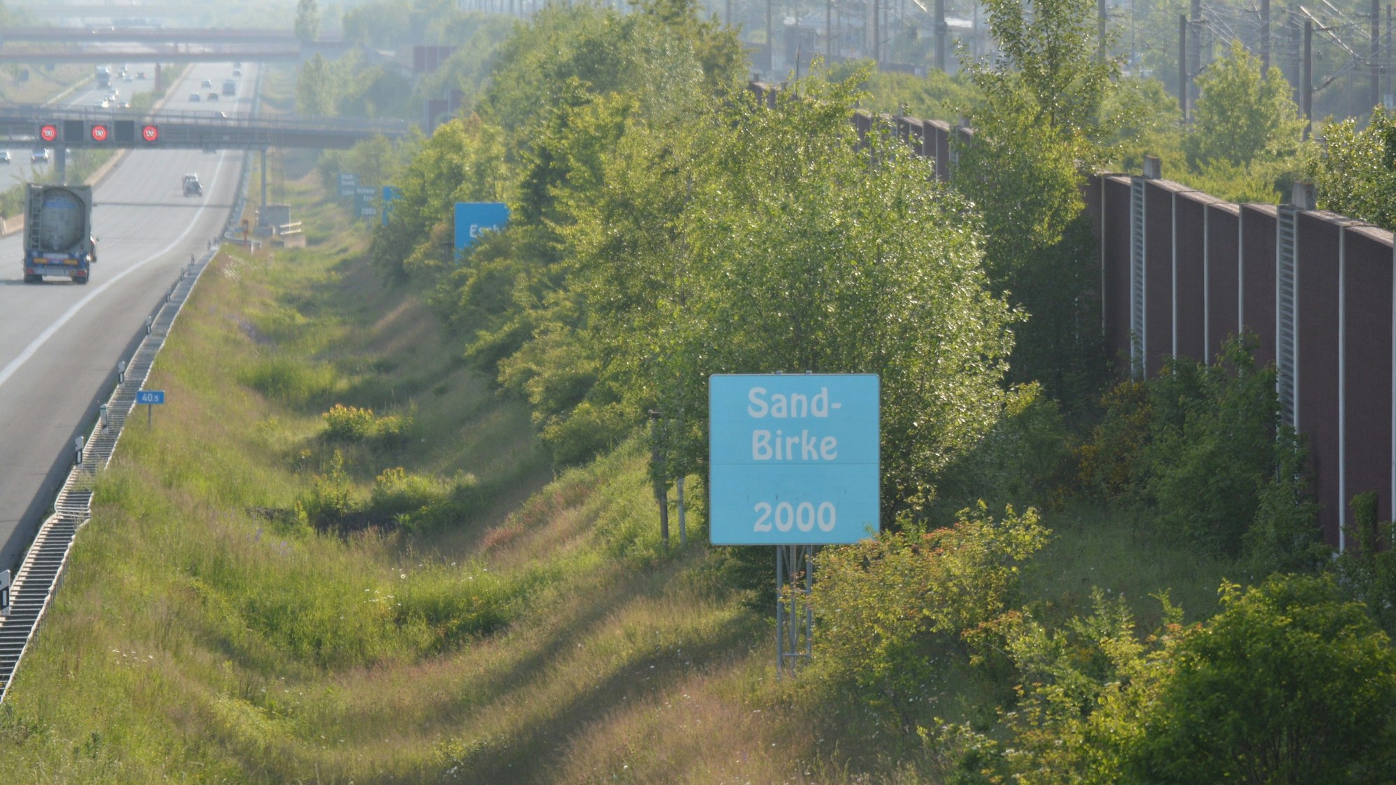 Auf dem Foto ist die Allee „Baum des Jahres“ am Rande der A4 zwischen Kerpen und Düren zu sehen.