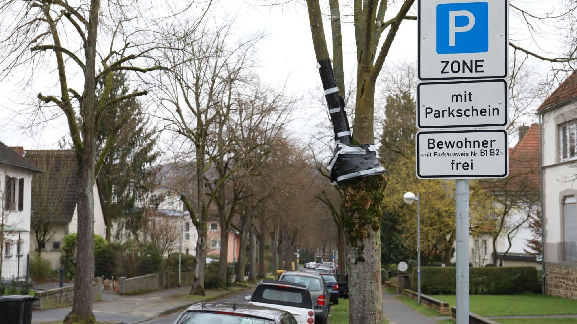 Ein Schild weist die Straße als Parkzone mit Parkschein aus, Bewohner mit Ausweis können dagegen frei parken. In der Straße stehen rechts am Fahrbahnrand parkende Autos.