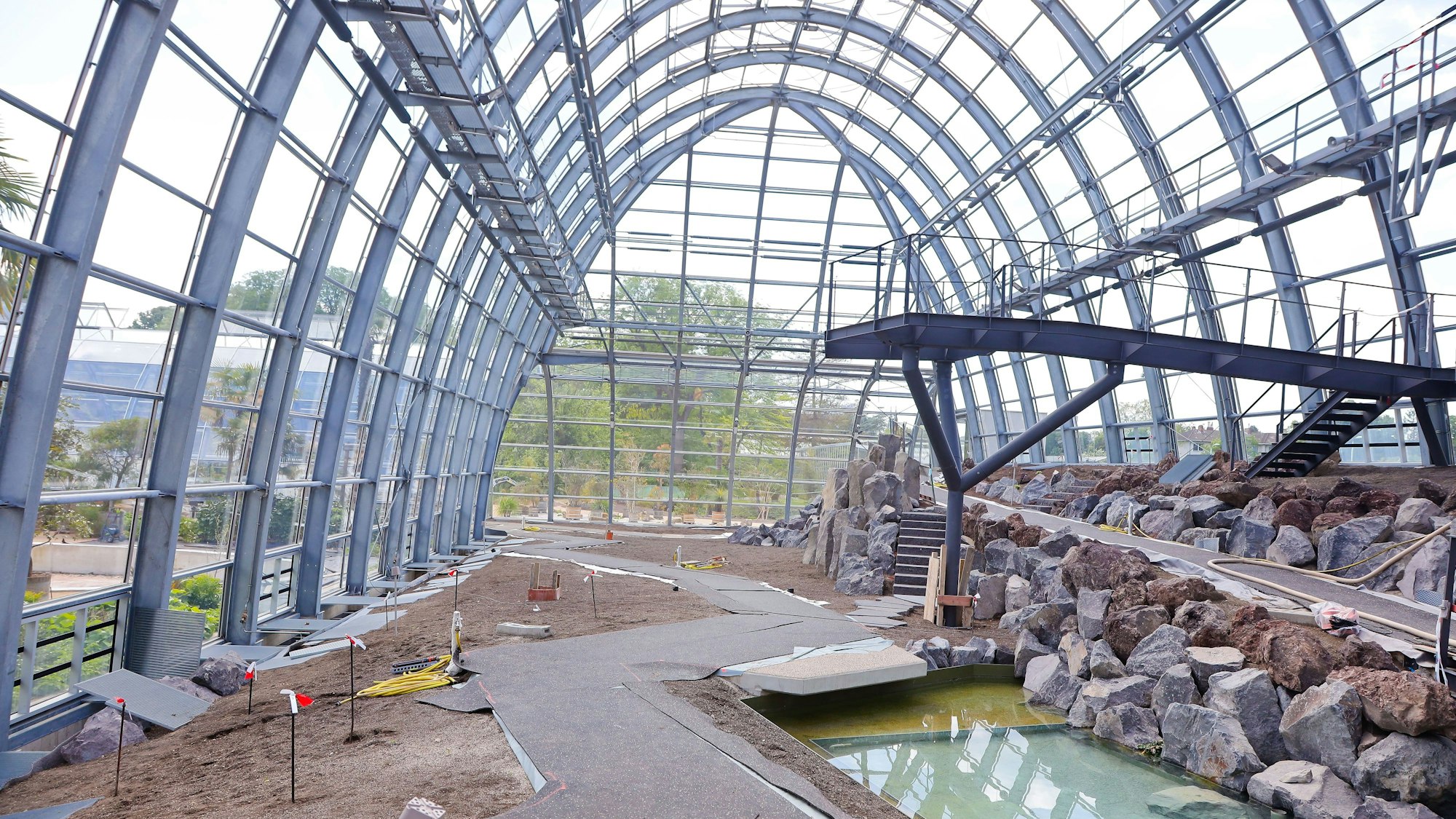 Das Bild zeigt den Blick in das Tropenhaus.