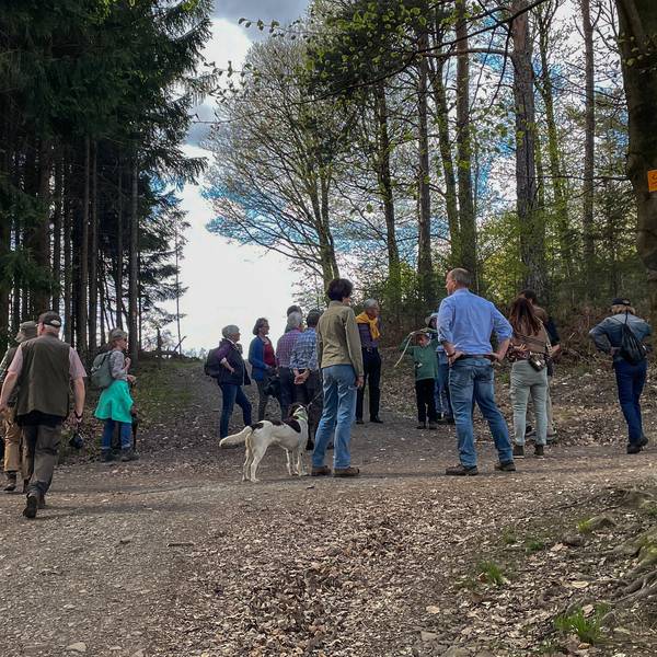 Auf der Waldwanderung mit der „Schutzgemeinschaft Deutscher Wald“ auf den Lüderich versammeln sich Teilnehmende zum Zwischenstopp. Eine Weggabelung mit vielen Menschen und einigen Hunden ist abgebildet.