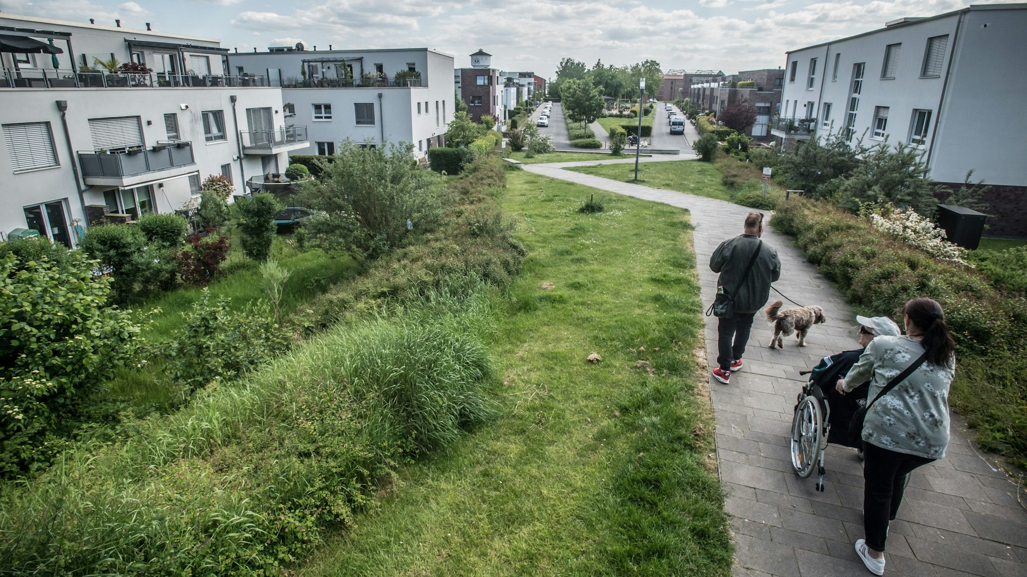 Die weißen Häuser links und rechts des Fußwegs gehören zur Nutzergenossenschaft Neue Bahnstadt Opladen (NgNBsO) an der Adam-Riese-Straße.