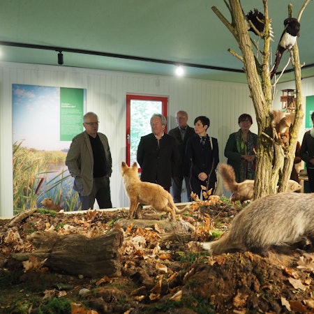 Es ist ein Teil der erneuerten Waldschule zu sehen.