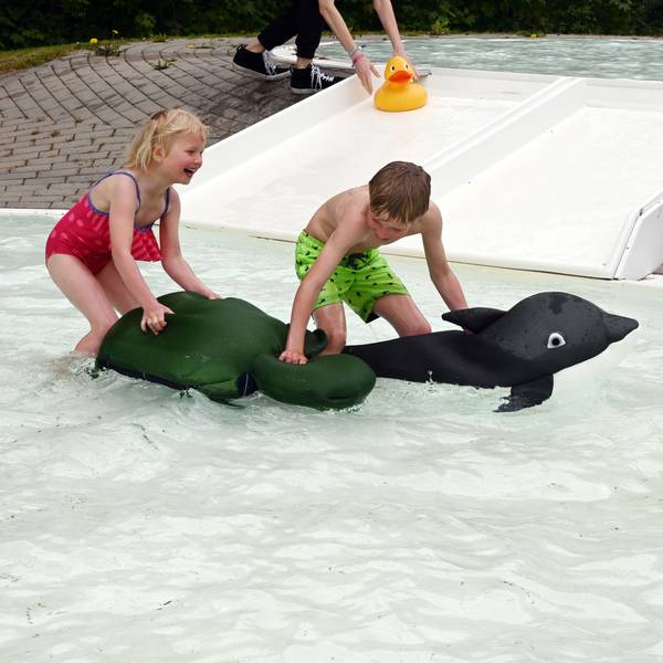 Im Bild sind ein Junge und seine kleine Schwester, die in einem Schwimmbecken für Kinder mit zwei aufblasbaren Tieren spielen.