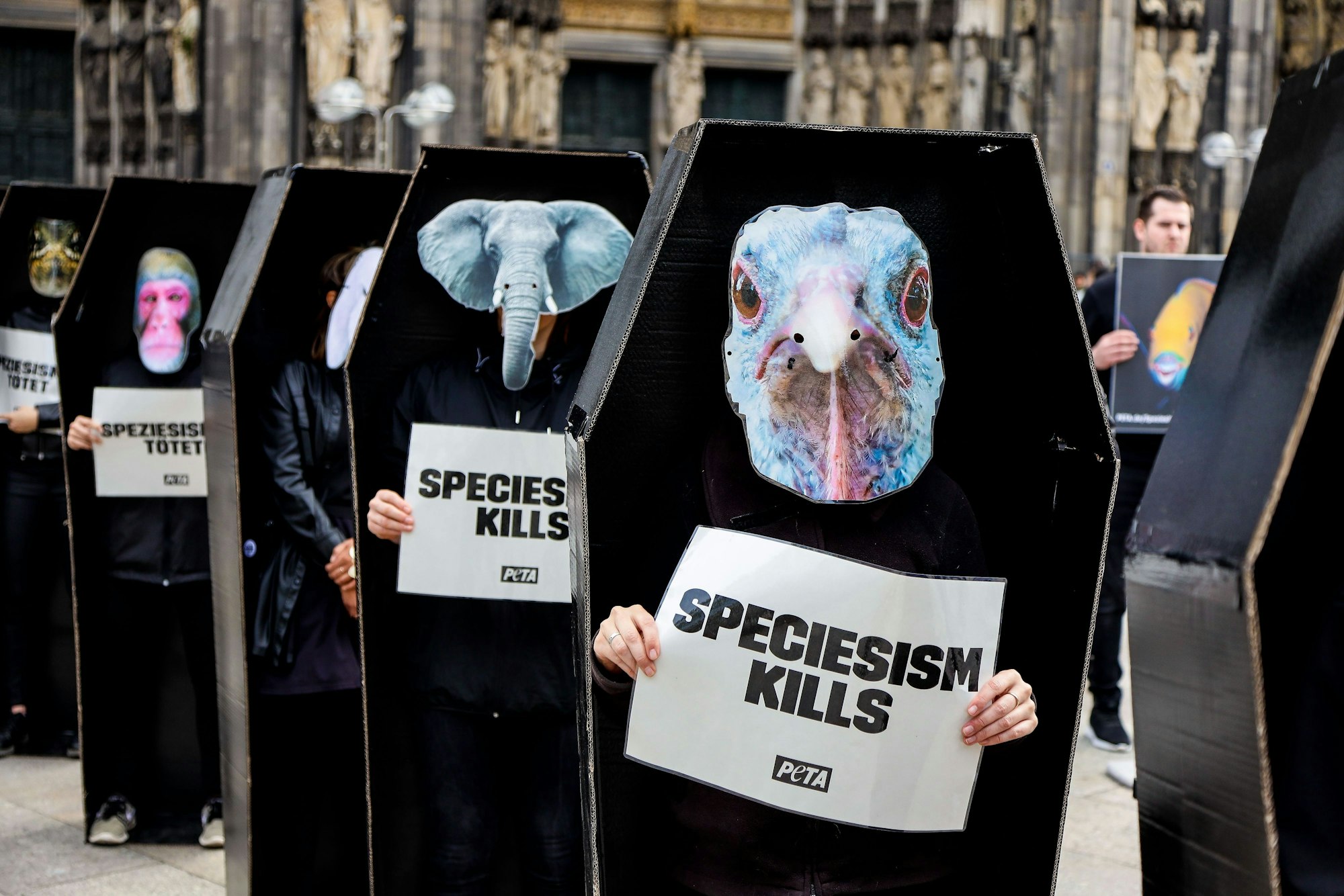 Menschen in schwarzen Särgen mit Tiermotiven.