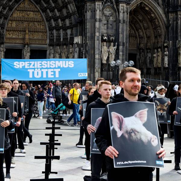 In schwarz gekleidete Demonstranten halten Schilder mit Tieren in der Hand.