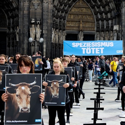 In schwarz gekleidete Demonstranten halten Schilder mit Tieren in der Hand.