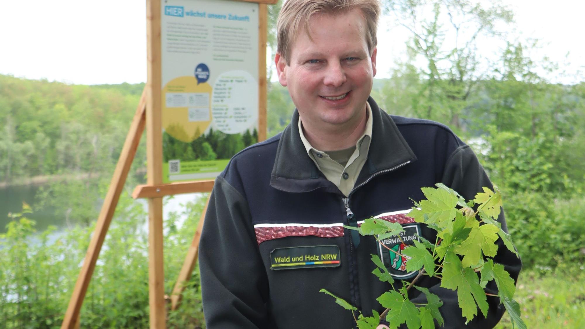 Revierförster Frank Pechtheyden hält ein etwa drei Jahre altes Ahornbäumchen in der Hand. Bis daraus ein stattlicher Baum gewachsen ist, vergehen auch im Ville-Wald Jahre.