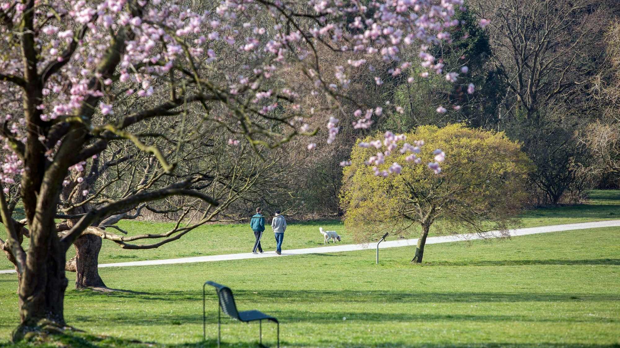 Zwischen Bäumen und Wegen gibt es auch freie Rasenflächen im Forstbotanischen Garten. (Archivbild)