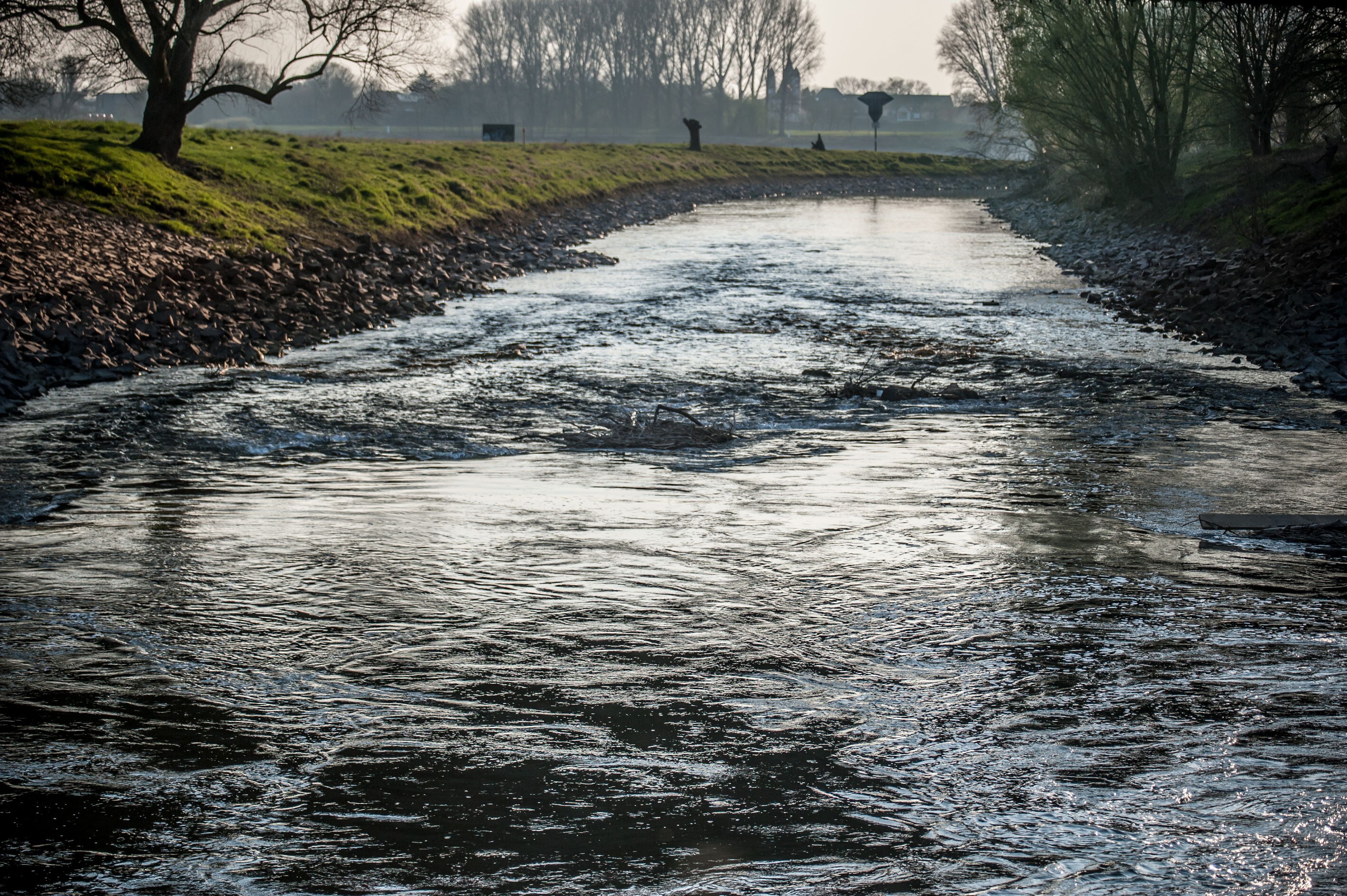 Die Wupper in Rheindorf nahe der Mündung.