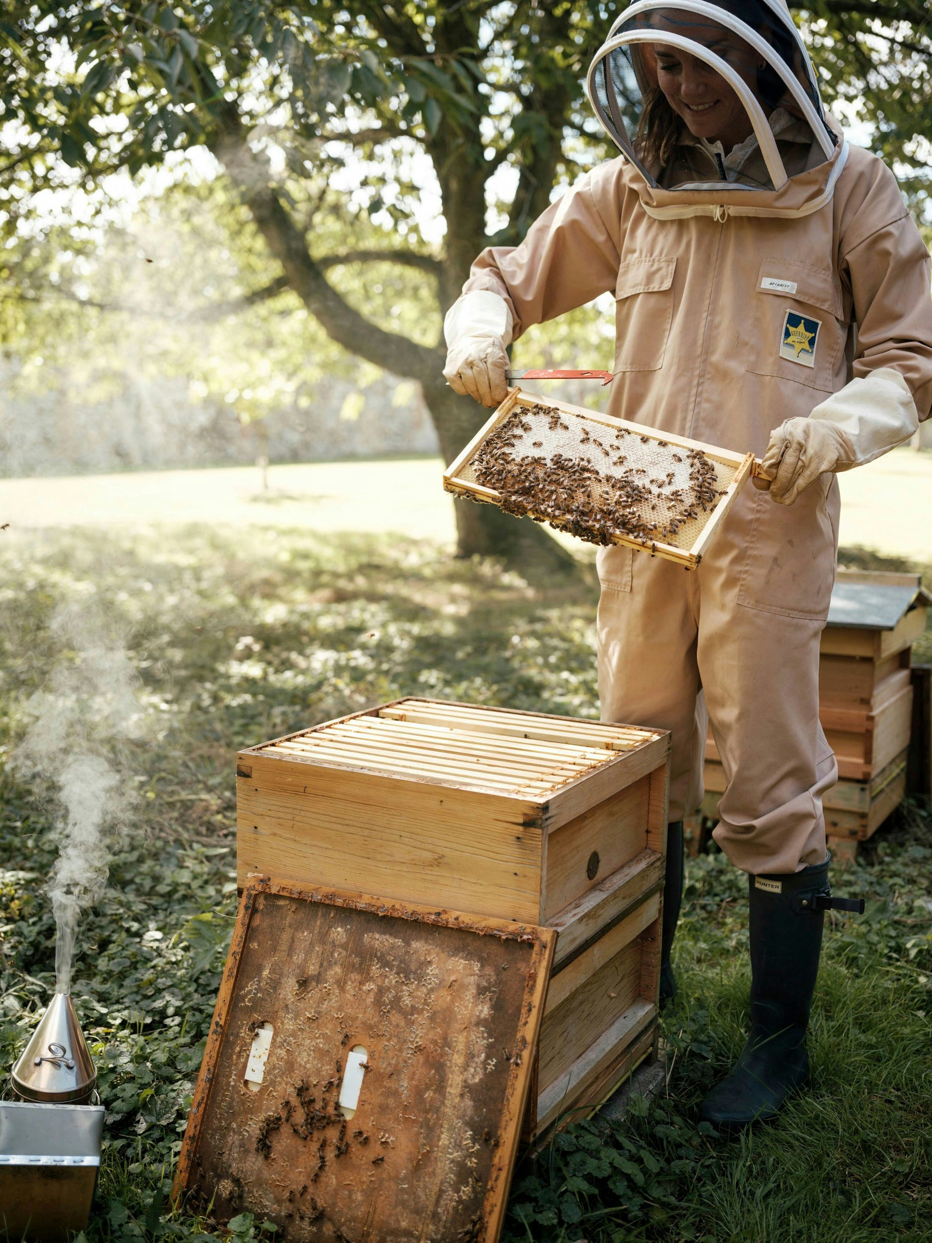 Prinzessin Kate im letzten Sommer bei der Pflege eines Bienenstocks in den Gärten von Anmer Hall.