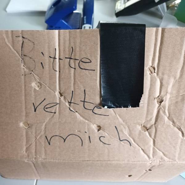 „Bitte rette mich“, stand auf dem Karton, den Mitarbeitende des Tierheims Bergheim vor dem Tor fanden.