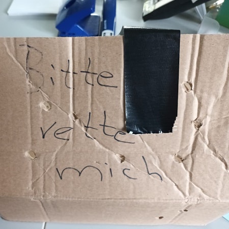 „Bitte rette mich“, stand auf dem Karton, den Mitarbeitende des Tierheims Bergheim vor dem Tor fanden.