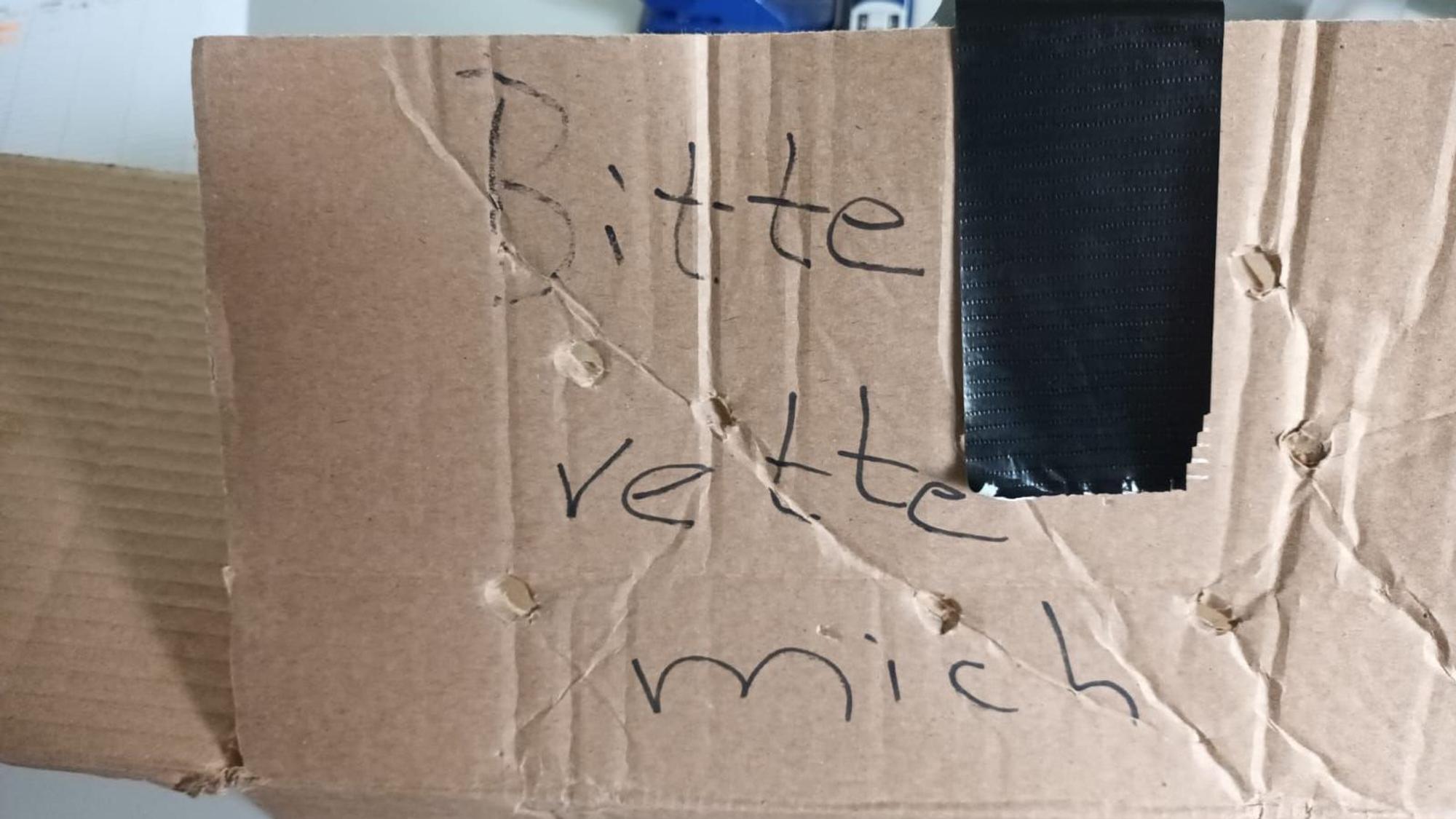 „Bitte rette mich“, stand auf dem Karton, den Mitarbeitende des Tierheims Bergheim vor dem Tor fanden.