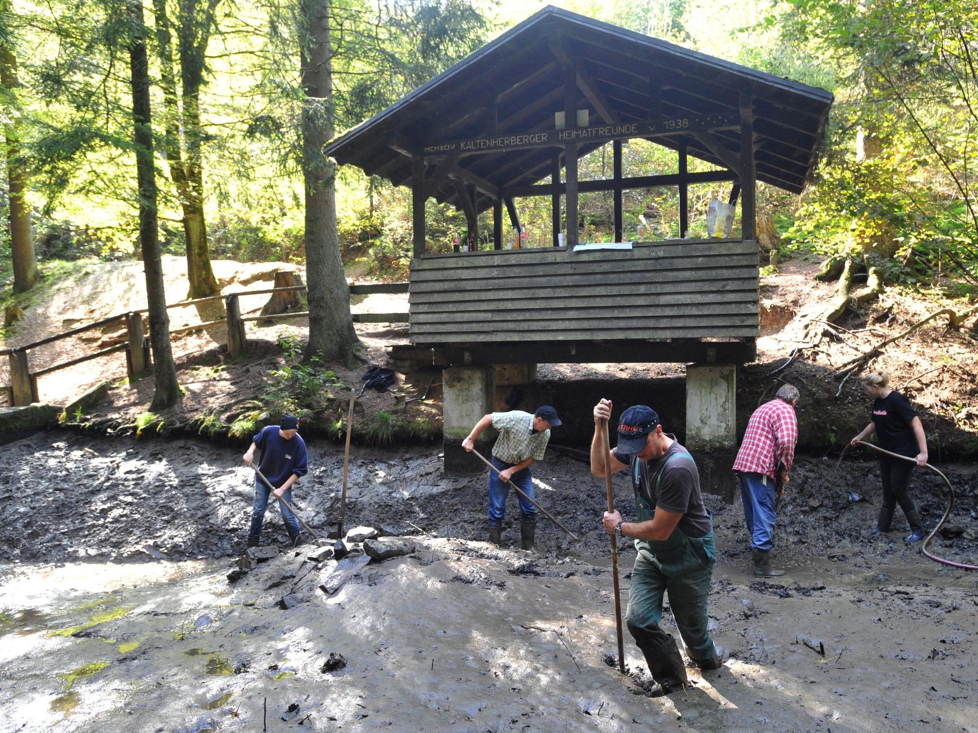 Reinigung des Teichs vom Schlamm 2011