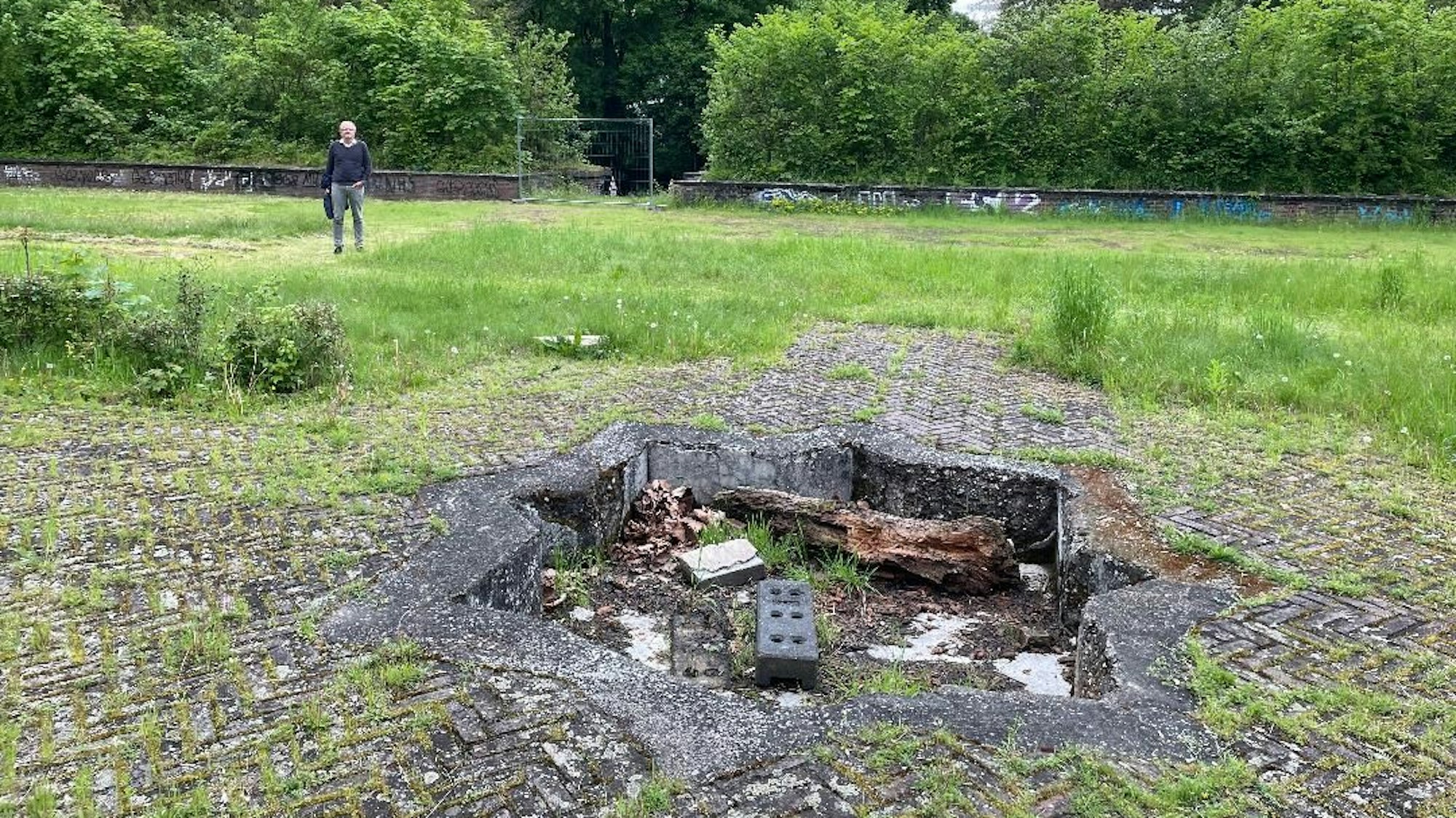 Eine von einer Mauer eingefasste ungepflegte Grünfläche, im Vordergrund ist eine sternförmige Beton-Einfassung zu sehen.