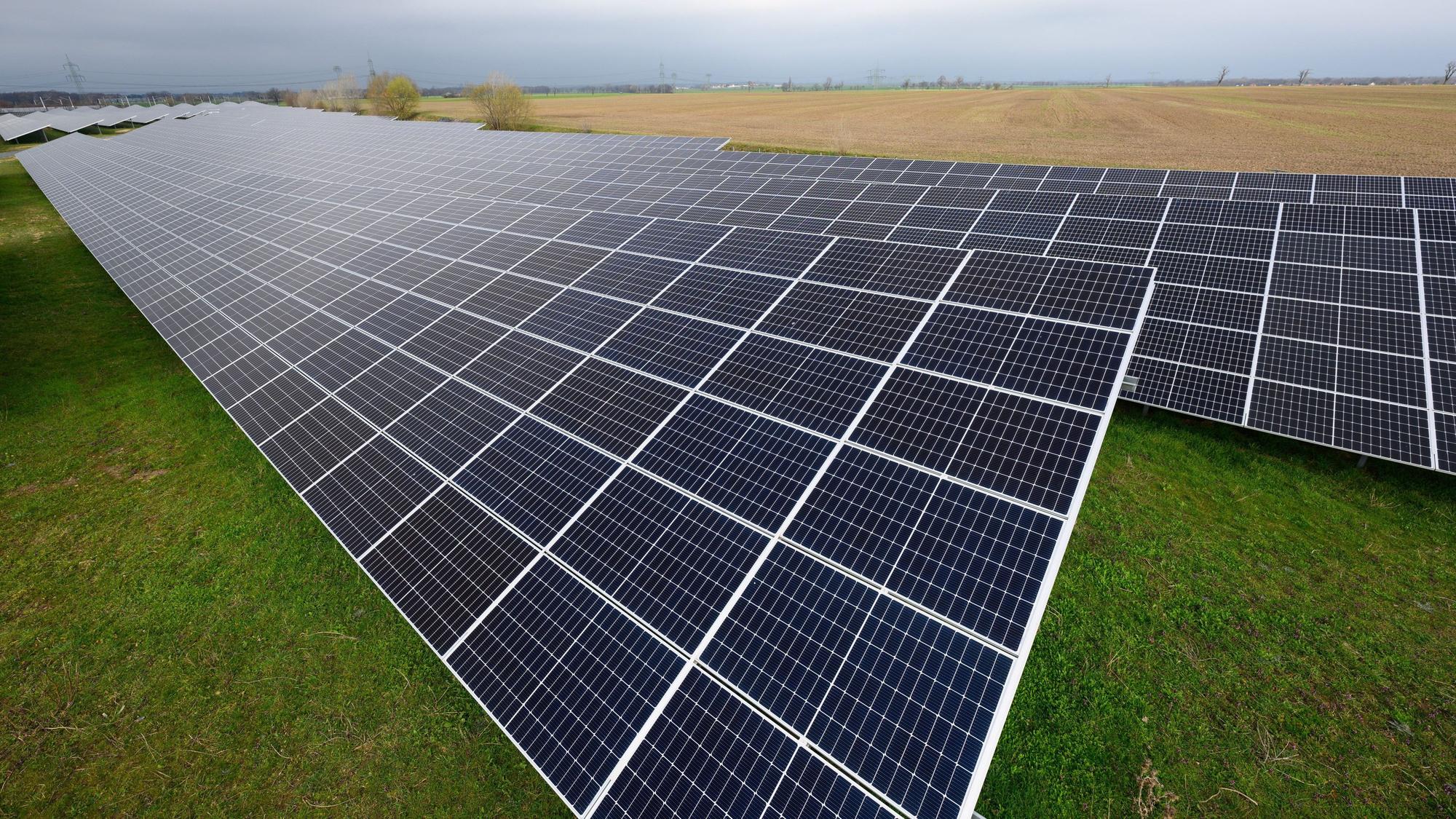 Das Symbolfoto zeigt Solaranlagen auf einer Wiese.