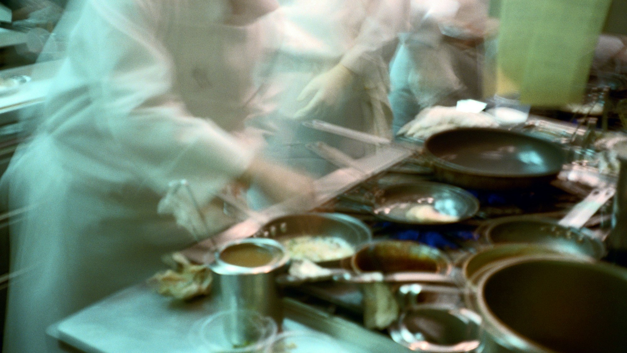 Köche in einer Restaurantküche