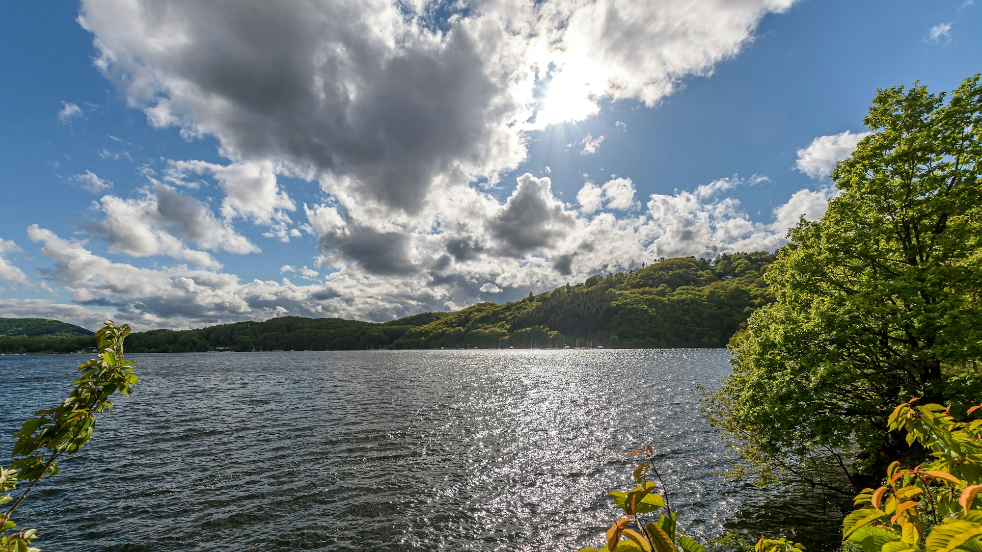 Blick auf die Rurtalsperre