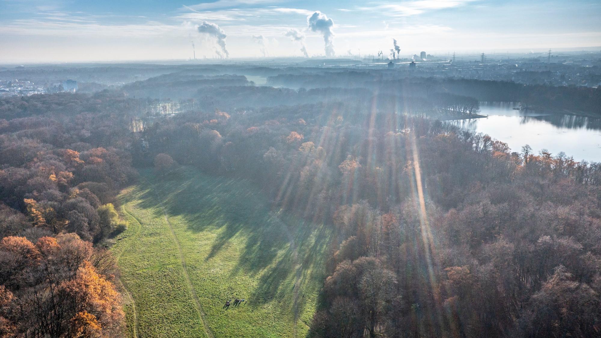 Das Bild zeigt den Blick auf die Gleueler Wiese von oben.