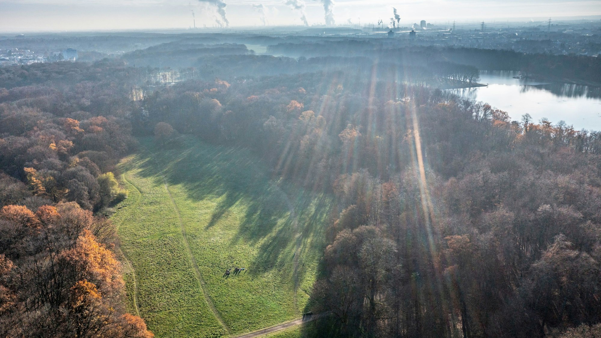 Drohnen-Blick auf die Gleueler Wiese: Sie soll nicht bebaut werden.
