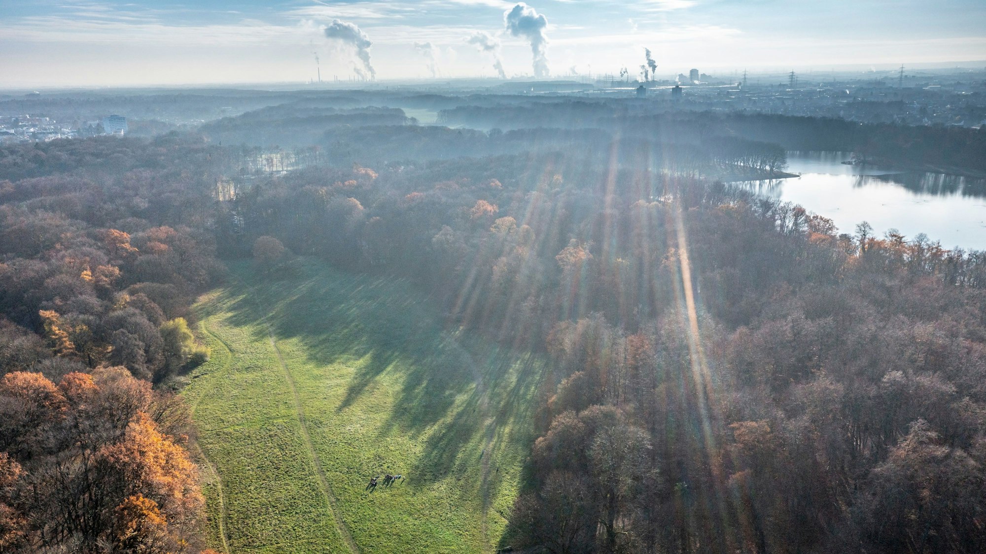 Blick auf die Gleueler Wiese.