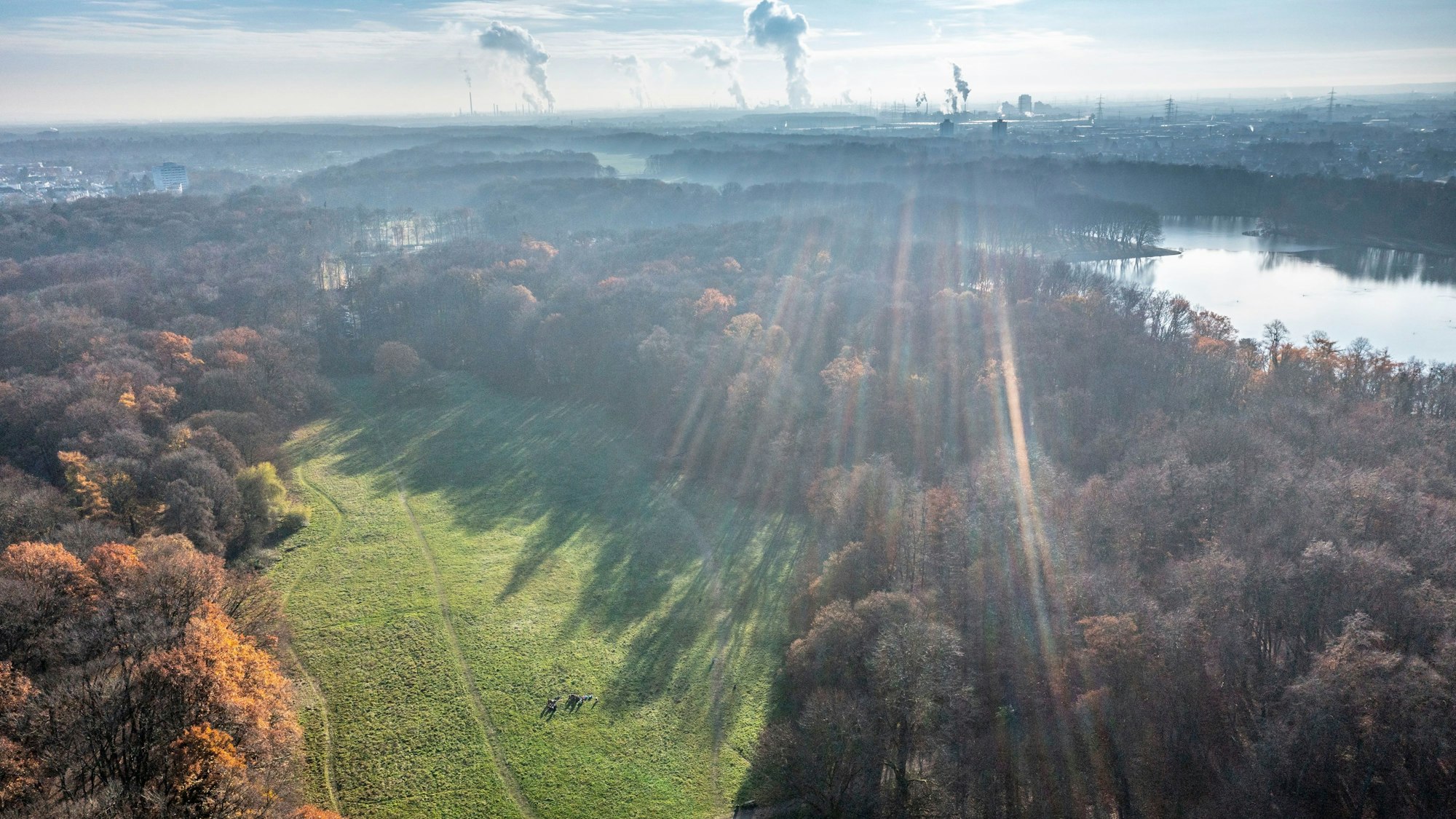 Der Blick von oben auf die Gleueler Wiese. Der 1. FC Köln möchte dort drei Fußball-Plätze bauen.