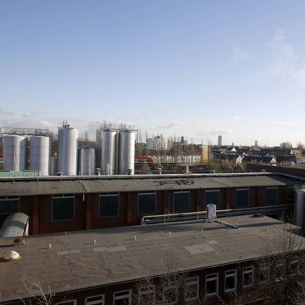 23.11.2015 Koeln FrieslandCampina Molkerei . Milchranks
23 11 2015 Cologne FrieslandCampina Dairy