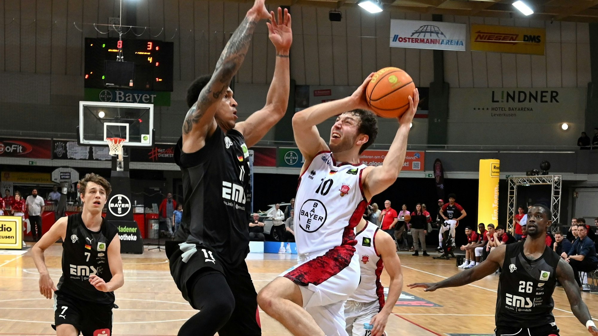 09.04.2023, Basketball-Bayer Giants-Nürnberg Falcons
rechts: Haris Hujic (Bayer)
Foto: Uli Herhaus
