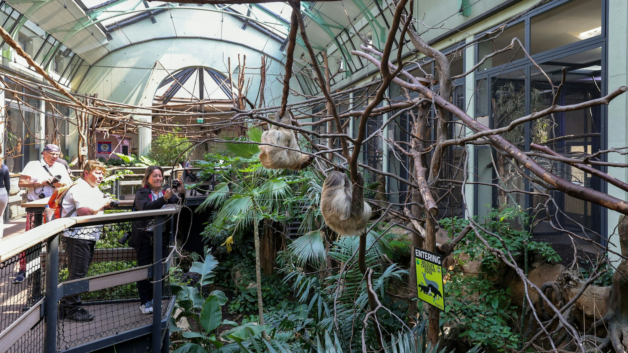 25.05.2023, Köln: Architekturpark Kölner Zoo.
Verschiedene Baulichen im Zoo.
Im Bild das Arnulf-und-Elisabeth-Reichert-Haus.
Foto: Michael Bause