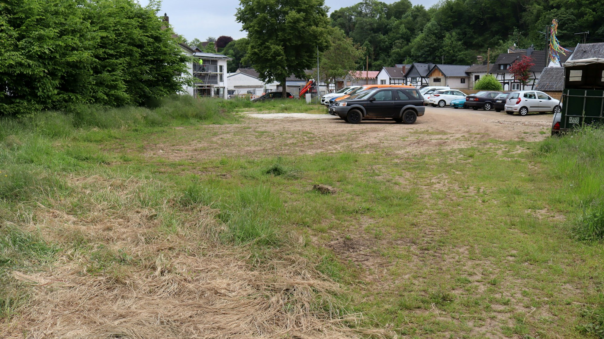 Im Vordergrund ist die derzeit nicht gepflegte Wiese zu erkennen, im Hintergrund der Parkplatz, auf dem einige Autos stehen.