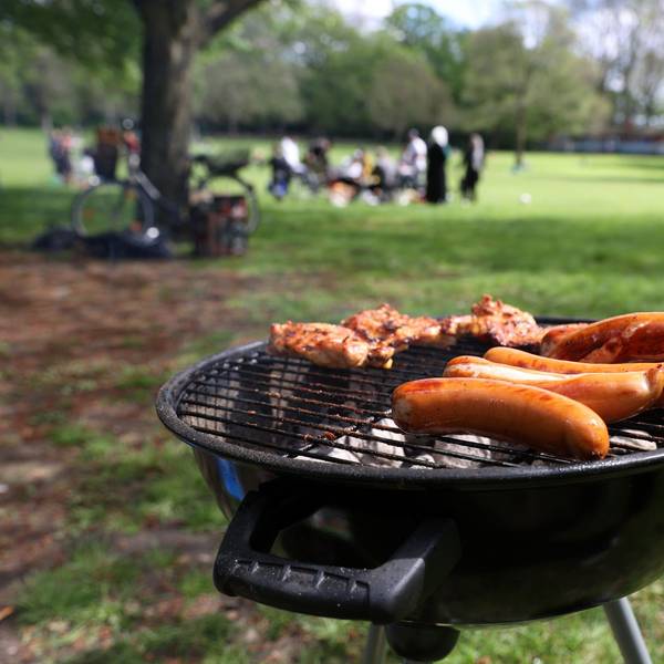 Würstchen liegen im Park auf einem Grill.