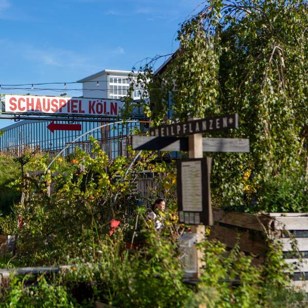 Ein Blick auf den blühenden Carlsgarten vor dem Mülheimer Depot, der Interimsspielstätte des Schauspiels Köln.