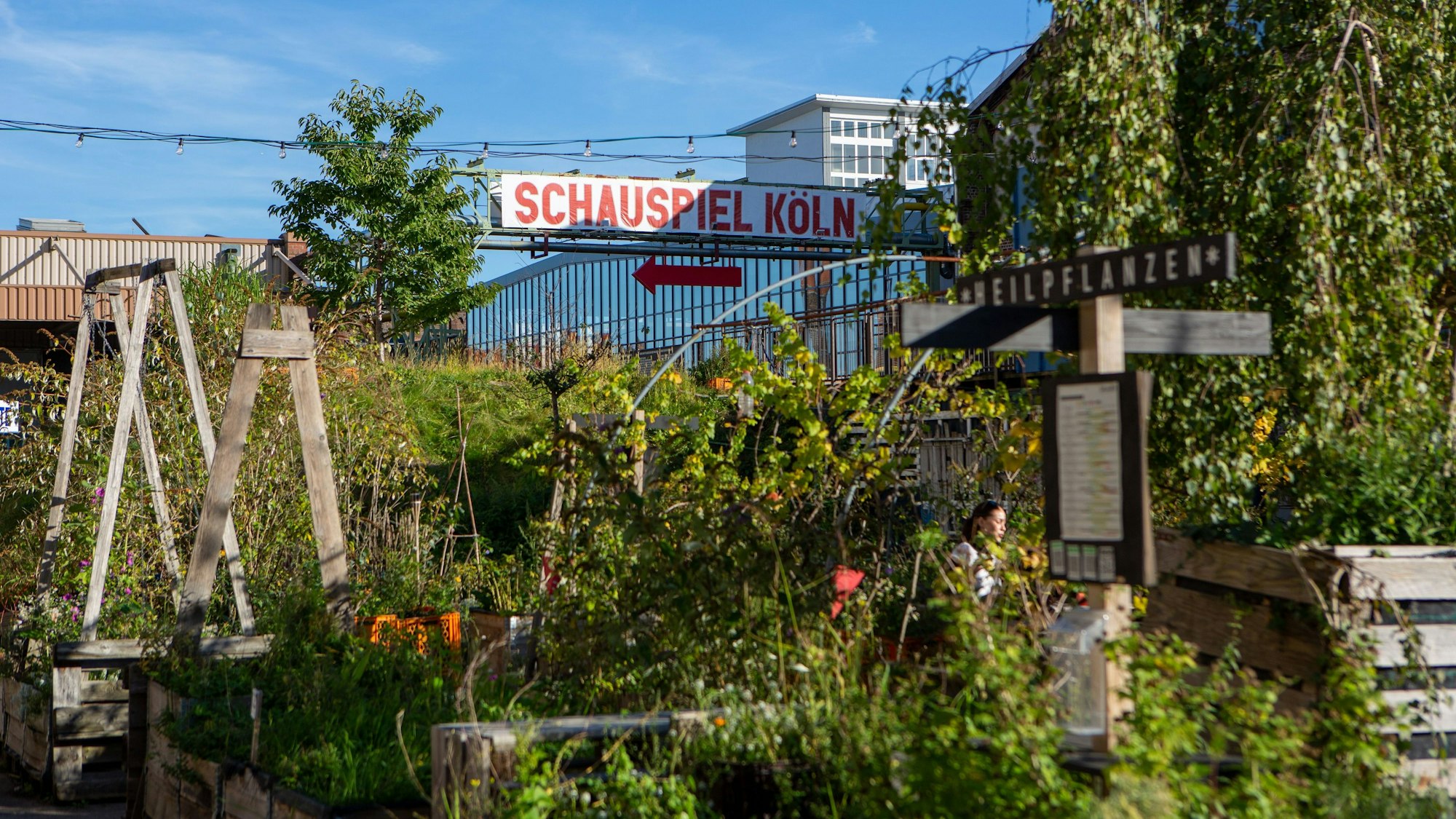 Ein Blick auf den blühenden Carlsgarten vor dem Mülheimer Depot, der Interimsspielstätte des Schauspiels Köln.