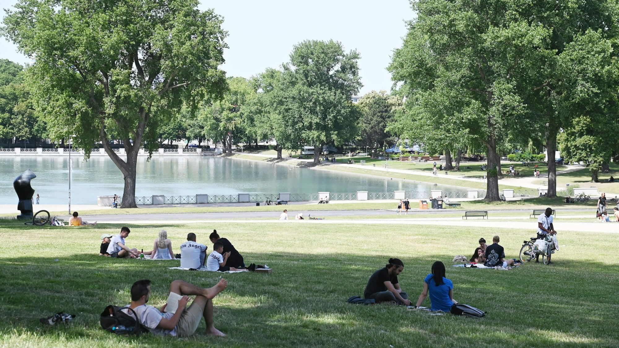 Wiesen im Sommer am Aachener Weiher.