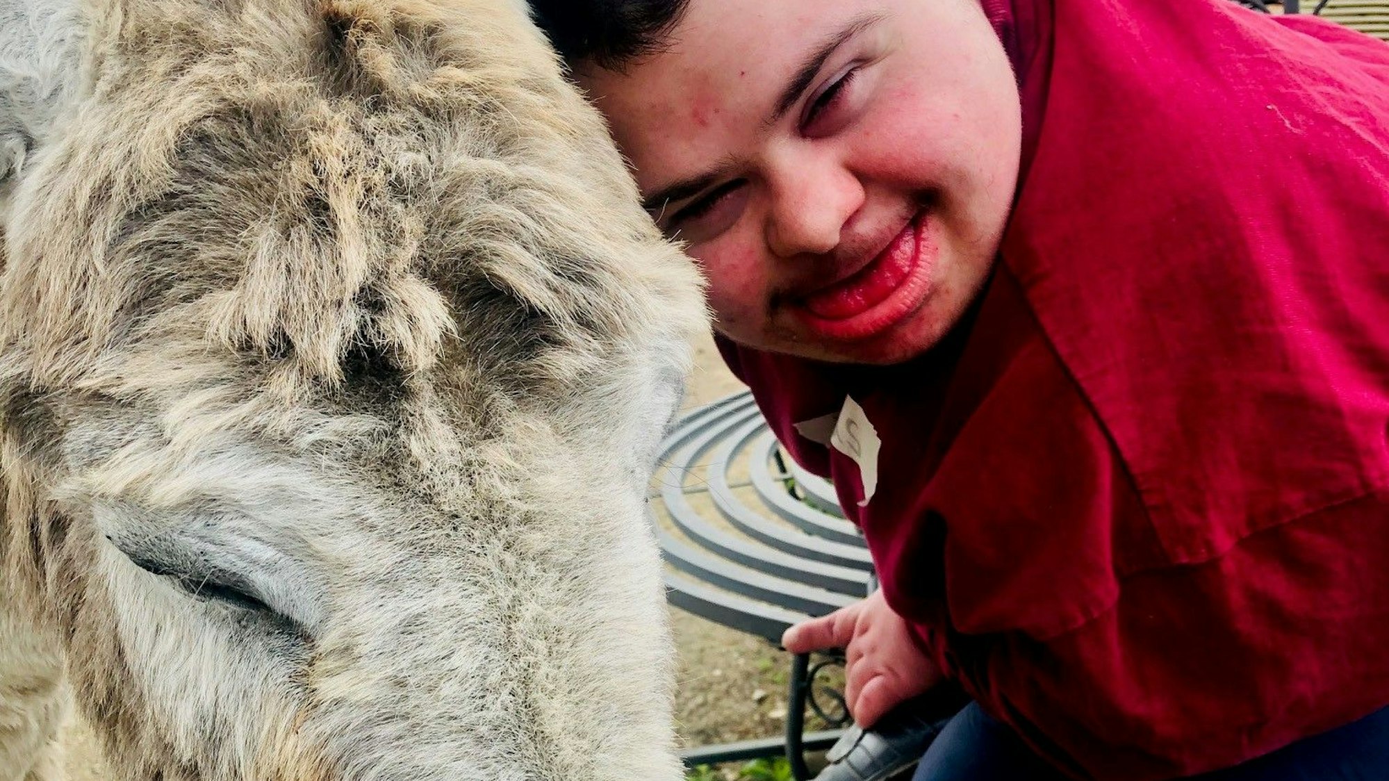 Lukas, 23, schmust mit Esel-Dame Rosa.