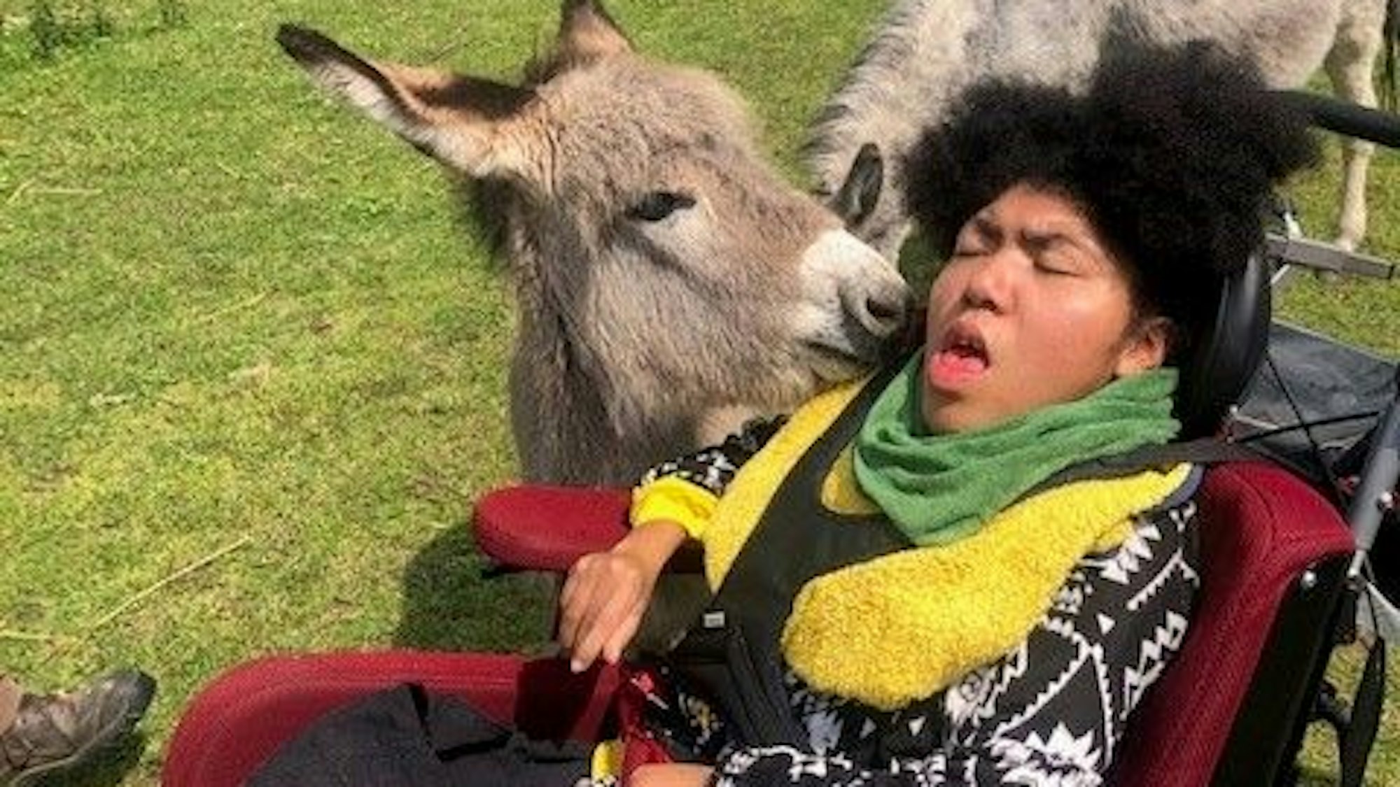 Die 15-jährige schwerst beeinträchtige Eloisa sitzt im Rollstuhl, eine Eselin stupst ihr leicht an die Wange.