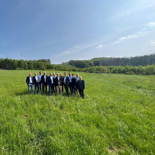 Auf dieser Wiese soll die Klimaschutzsiedlung mit 36 Einfamilienhäusern entstehen. Der Quadratmeterpreis liegt bei 260 Euro.