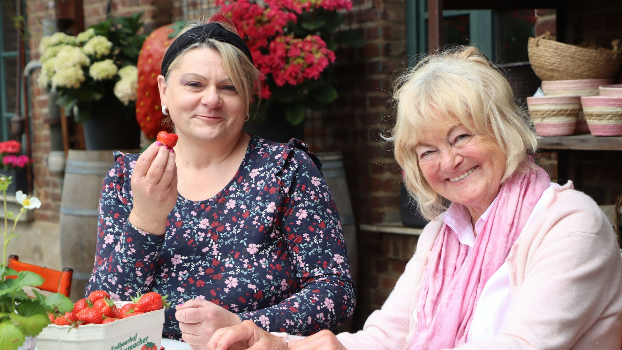 Das Foto zeigt Waltraud Schumacher und ihre Mitarbeiterin Ilona Trzcinska vom Erdbeer- und Spargelhof in Erftstadt-Konradsheim. Sie kosten die frisch geernteten Erdbeeren.