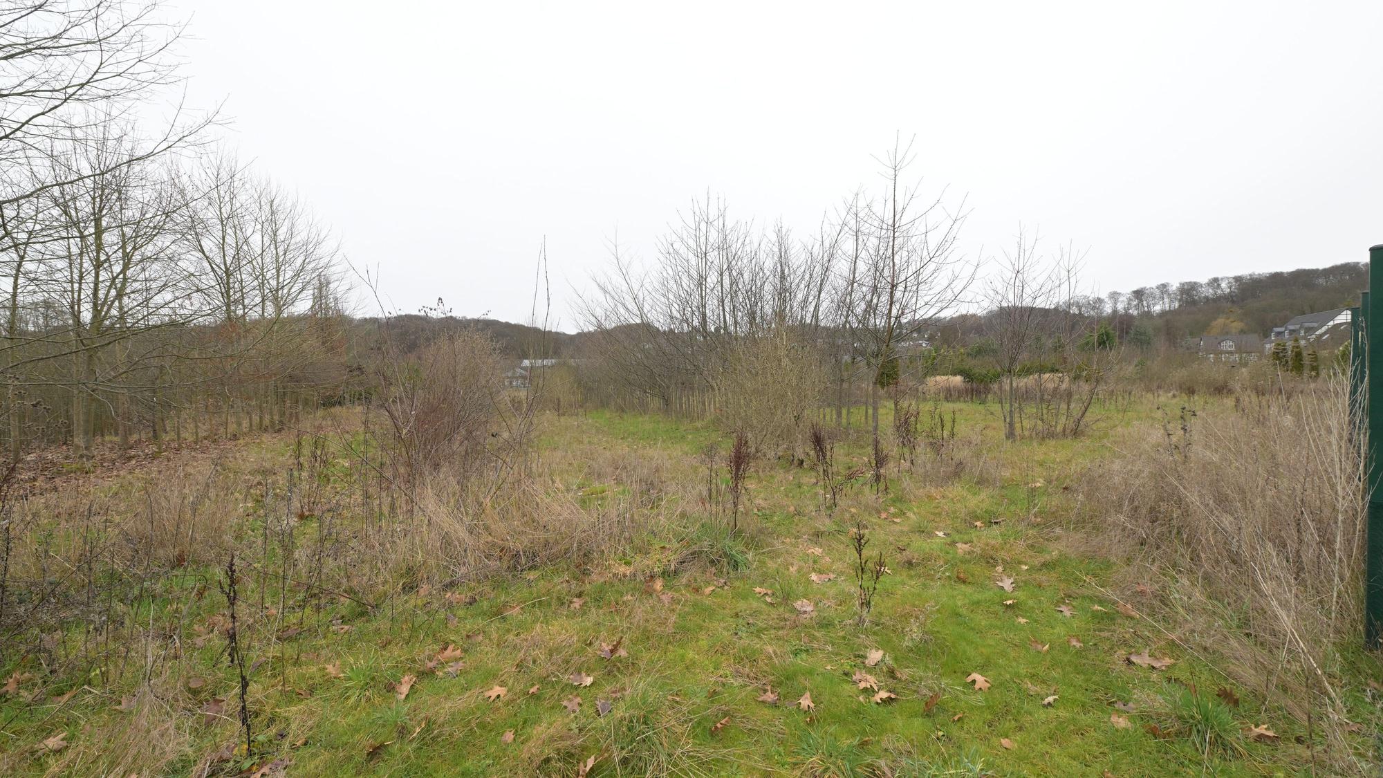 as ehemalige Baumschulgelände in Osenau.