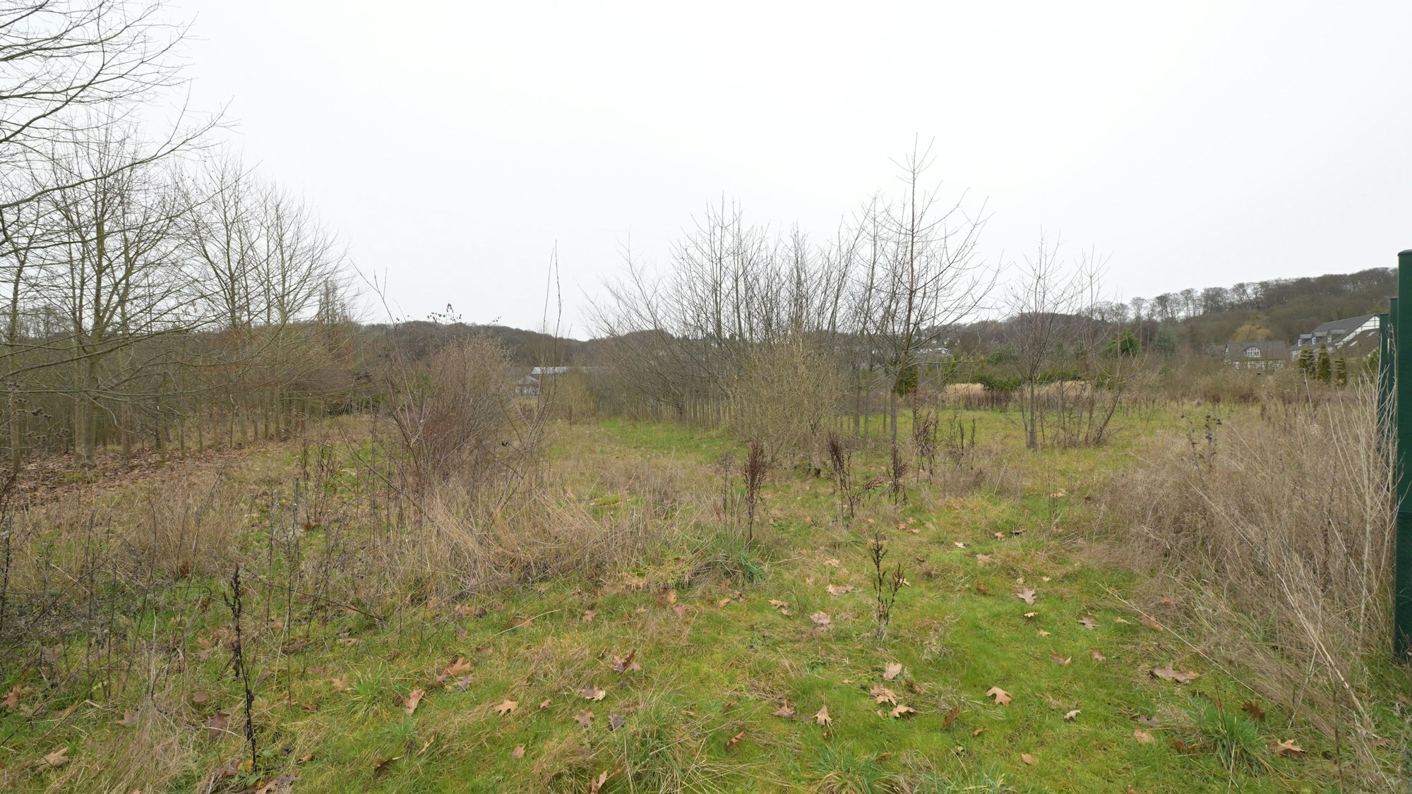 as ehemalige Baumschulgelände in Osenau.