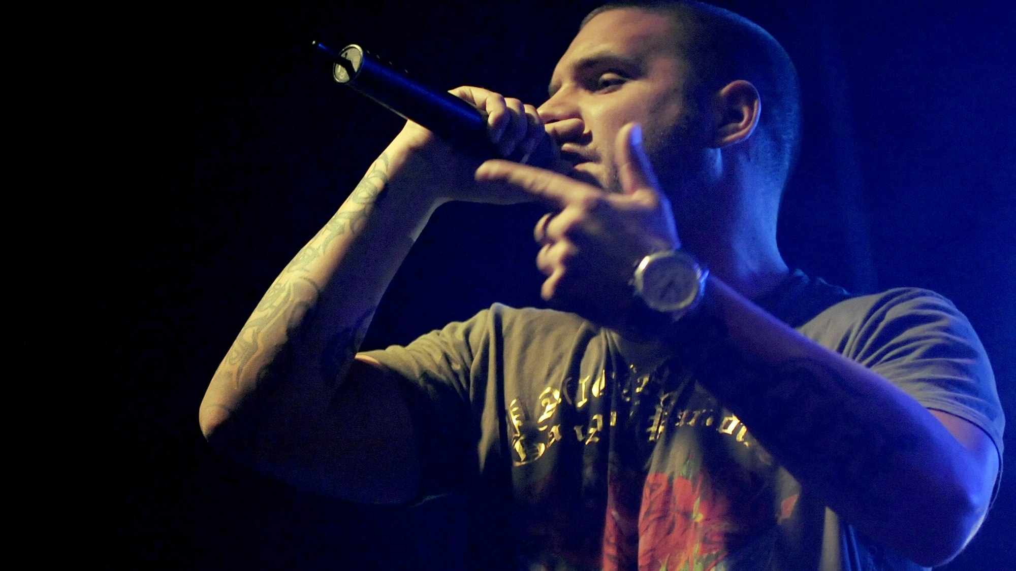 Der in Berlin geborene Rapper Fler bei einem Auftritt. (Archivbild)