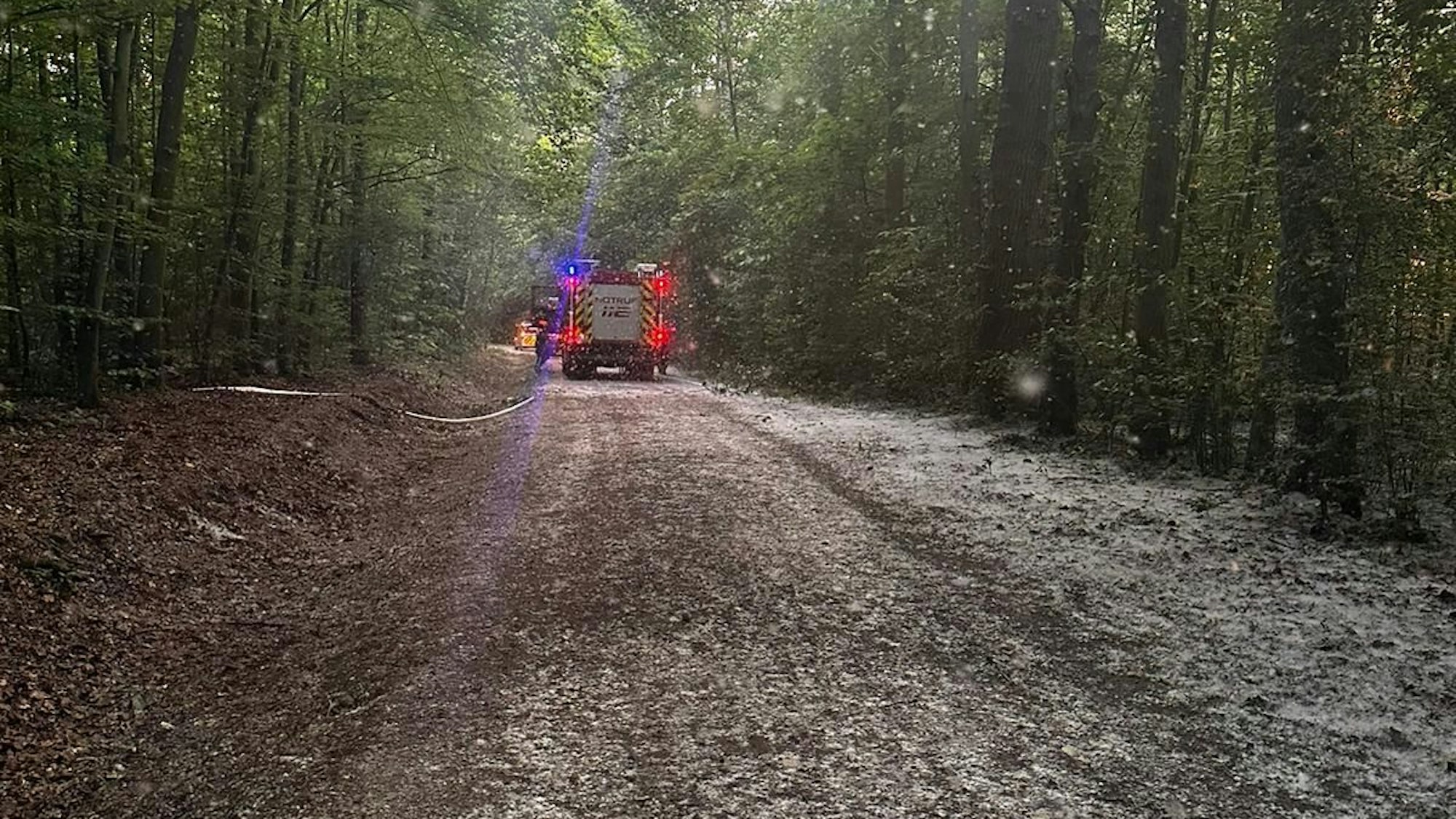 Das Foto zeigt die Einsatzfahrzeuge und der mit Pollen bedeckte Waldweg.