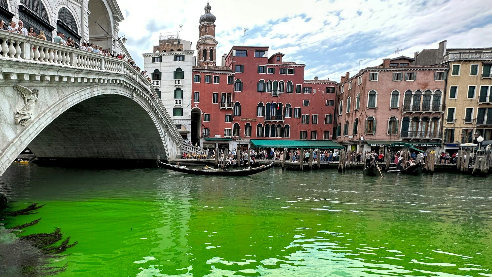 Zahlreiche Schaulustige stehen am Canale Grande in Venedig, dessen Wasser am Pfinstsonntag grün leuchtete.