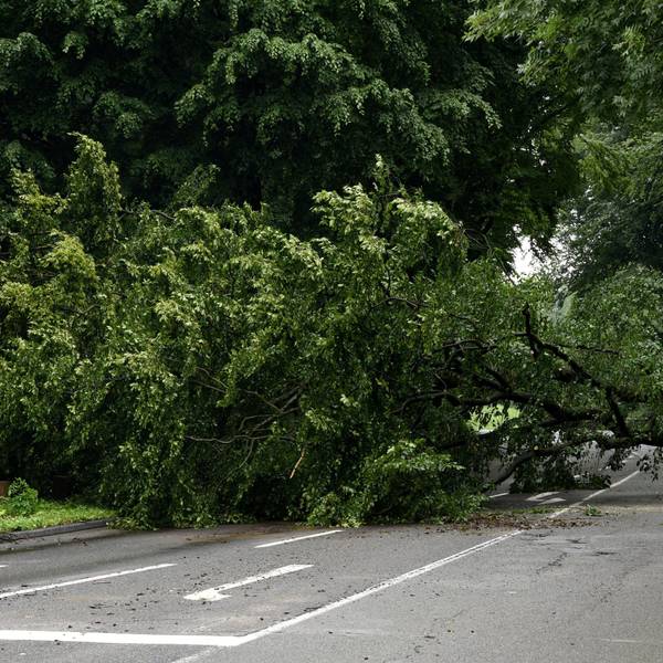 15.07.2021, Köln: Auf dem Militärring ist nahe der Friedrich-Schmidt-Straße sind viele Bäume umgefallen und der Militärring ist daraufhin zwischen Friedrich-Schmidt-Straße und Aachener Straße gesperrt worden. Blickrichtung Aachener Straße.
Foto: Csaba Peter Rakoczy