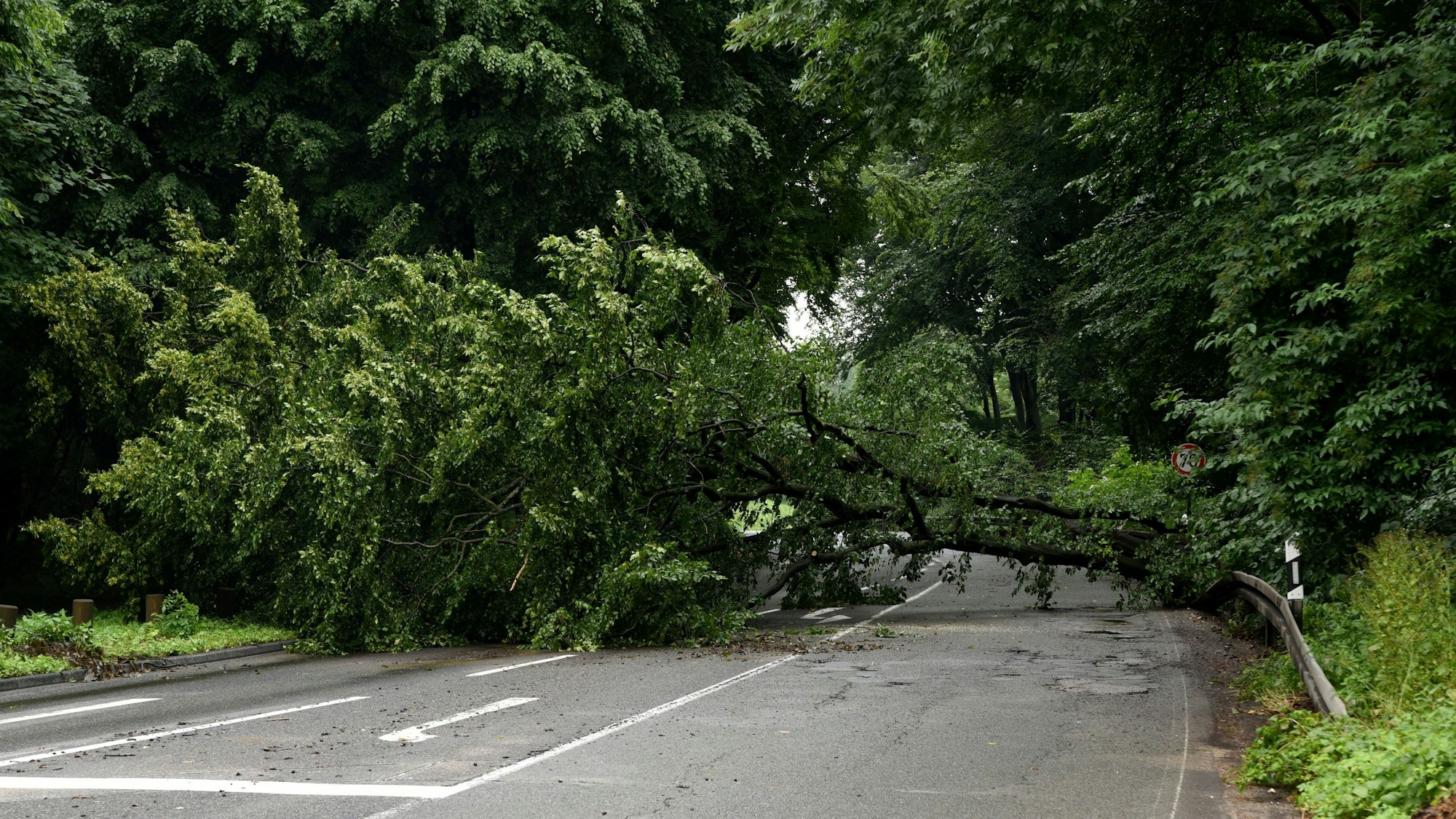 15.07.2021, Köln: Auf dem Militärring ist nahe der Friedrich-Schmidt-Straße sind viele Bäume umgefallen und der Militärring ist daraufhin zwischen Friedrich-Schmidt-Straße und Aachener Straße gesperrt worden. Blickrichtung Aachener Straße.
Foto: Csaba Peter Rakoczy