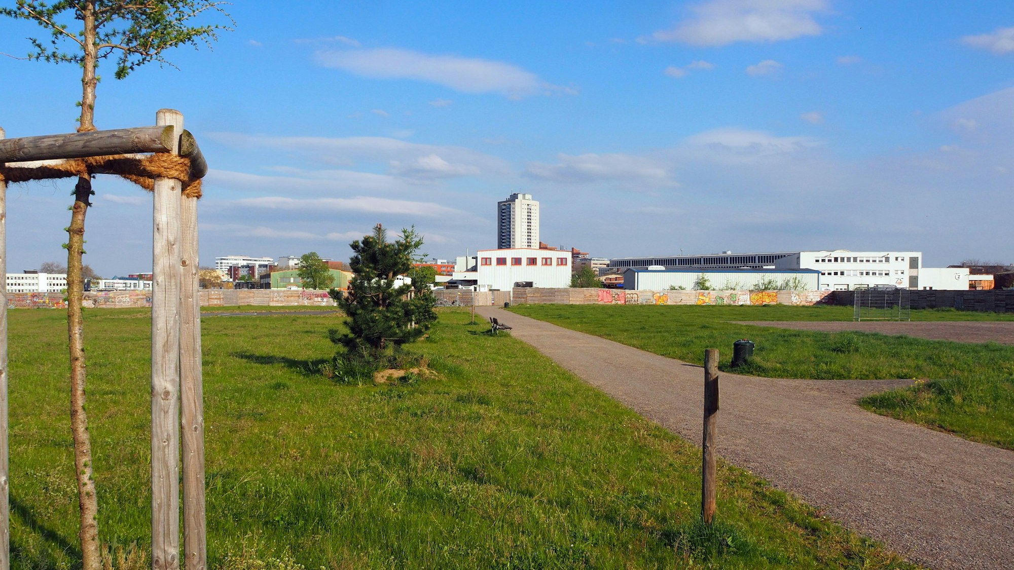 Auf einer Grünfläche wachsen Bäume.